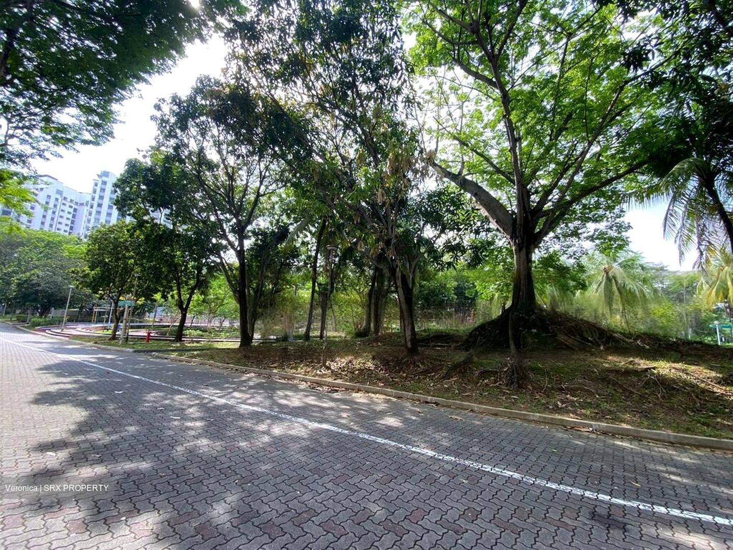 Blk 120C Rivervale Drive (Sengkang), HDB Executive #610219291